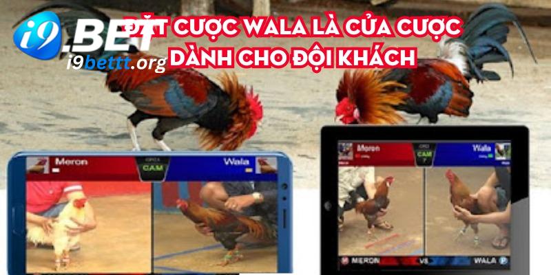 Đặt cược Wala là cửa cược dành cho đội khách