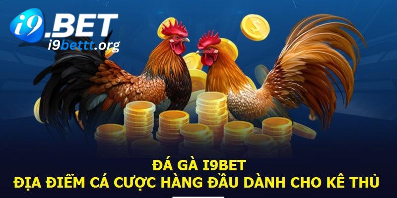 Đá gà là sảnh chơi nhận được sự quan tâm đông đảo của anh em kê thủ